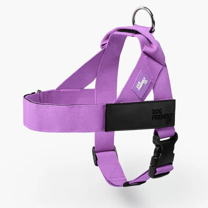 Dog Friendly Co. No-Pull Dog Walking Harness - Choke-Free Design, Padded Comfortable, 1-Click Simple Clip Buckle, Grab-Handle Ease, Chafe-Resistant Adjustable Straps, Lightweight, All-Day Wear, Secure Walks, Multi-Size XXS-XL