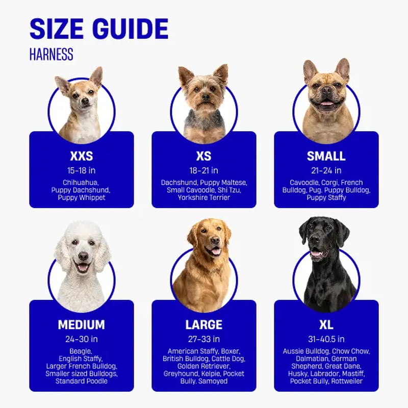 Dog Friendly Co. No-Pull Dog Walking Harness - Choke-Free Design, Padded Comfortable, 1-Click Simple Clip Buckle, Grab-Handle Ease, Chafe-Resistant Adjustable Straps, Lightweight, All-Day Wear, Secure Walks, Multi-Size XXS-XL
