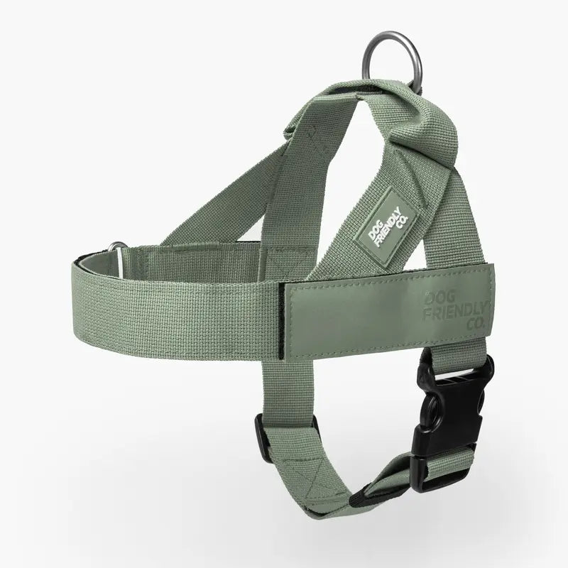 Dog Friendly Co. No-Pull Dog Walking Harness - Choke-Free Design, Padded Comfortable, 1-Click Simple Clip Buckle, Grab-Handle Ease, Chafe-Resistant Adjustable Straps, Lightweight, All-Day Wear, Secure Walks, Multi-Size XXS-XL