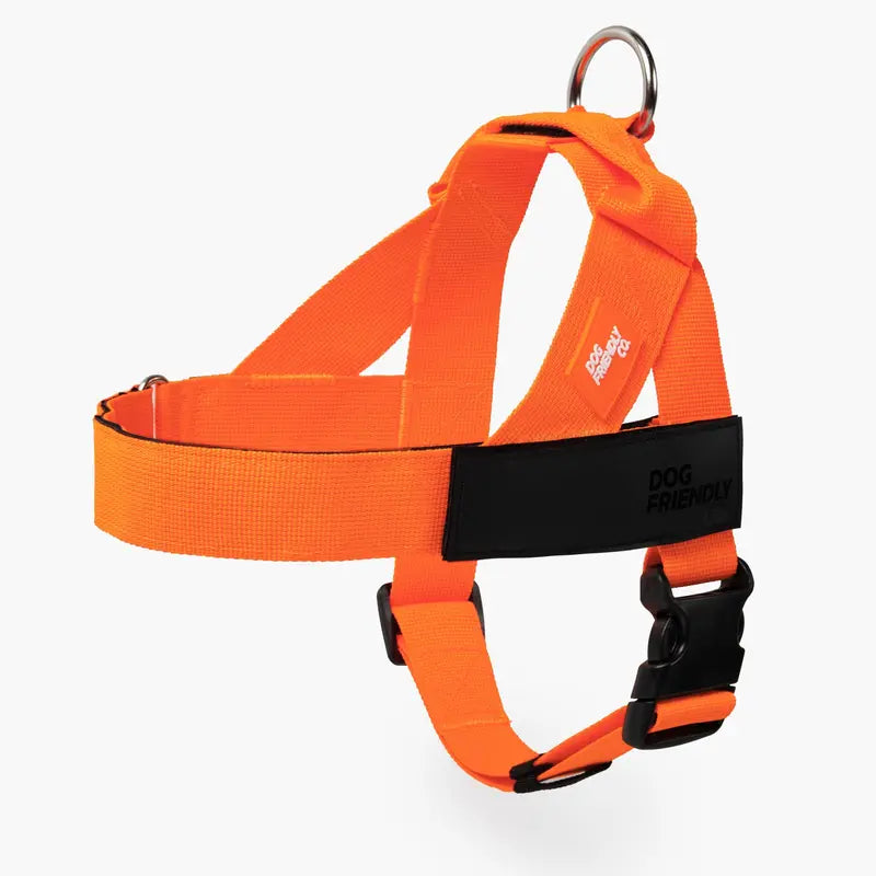 Dog Friendly Co. No-Pull Dog Walking Harness - Choke-Free Design, Padded Comfortable, 1-Click Simple Clip Buckle, Grab-Handle Ease, Chafe-Resistant Adjustable Straps, Lightweight, All-Day Wear, Secure Walks, Multi-Size XXS-XL