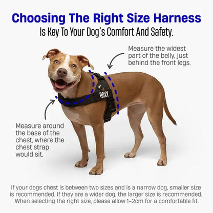 Dog Friendly Co. No-Pull Dog Walking Harness - Choke-Free Design, Padded Comfortable, 1-Click Simple Clip Buckle, Grab-Handle Ease, Chafe-Resistant Adjustable Straps, Lightweight, All-Day Wear, Secure Walks, Multi-Size XXS-XL