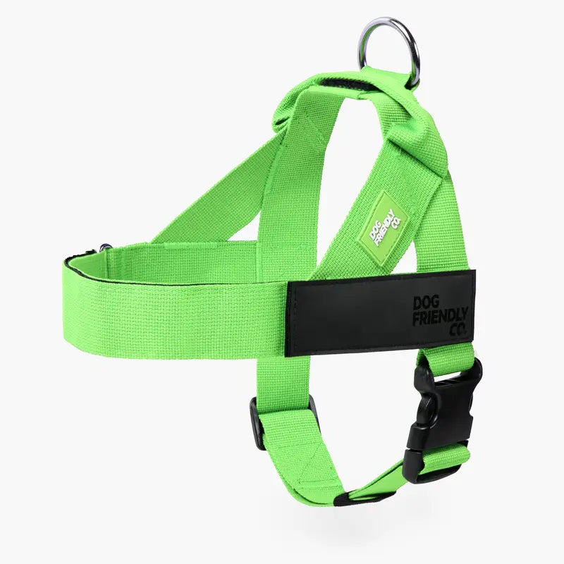 Dog Friendly Co. No-Pull Dog Walking Harness - Choke-Free Design, Padded Comfortable, 1-Click Simple Clip Buckle, Grab-Handle Ease, Chafe-Resistant Adjustable Straps, Lightweight, All-Day Wear, Secure Walks, Multi-Size XXS-XL