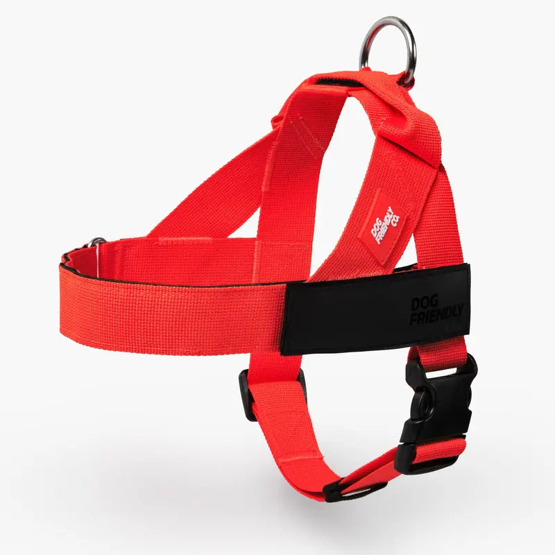 Dog Friendly Co. No-Pull Dog Walking Harness - Choke-Free Design, Padded Comfortable, 1-Click Simple Clip Buckle, Grab-Handle Ease, Chafe-Resistant Adjustable Straps, Lightweight, All-Day Wear, Secure Walks, Multi-Size XXS-XL